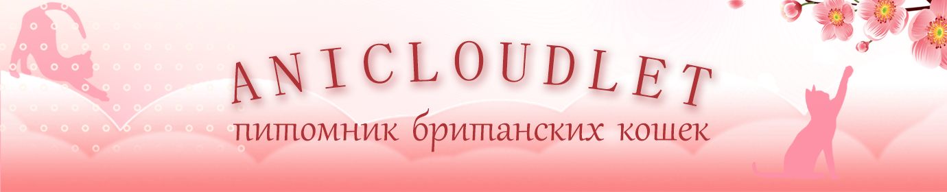 ANICLOUDLET